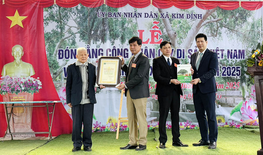 Cây[-]Đa[-]Đình[-]Giải:[-]biểu[-]tượng[-]xanh[-]trường[-]tồn[-]nhận[-]danh[-]hiệu[-]Cây[-]Di[-]sản[-]Việt[-]Nam